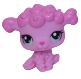 #3600 Baby Poodle