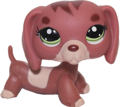 #3601 Dachshund