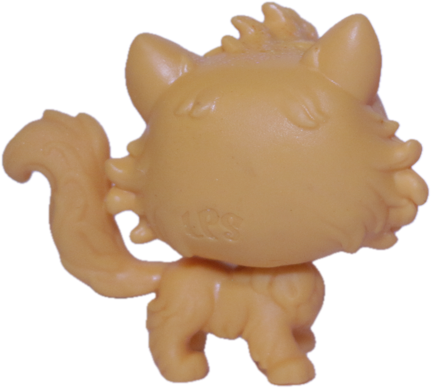 #45 Cat "Daffodil Selkirk"