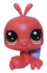 #4-154 Hermit Crab