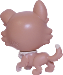 #94 Shiba Inu "Freesia Fuzzyface"