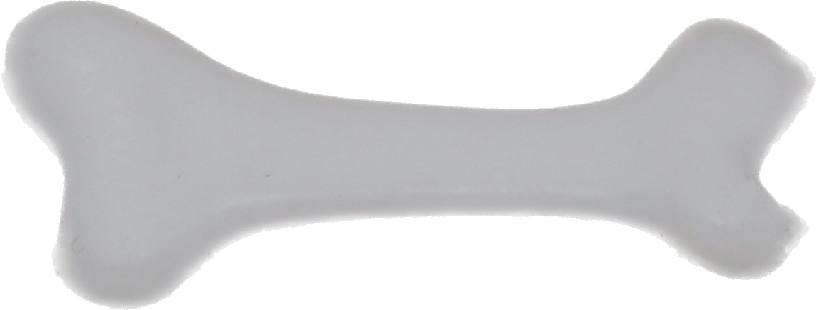 Bone