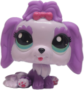 LPS G7 #144 Maltese