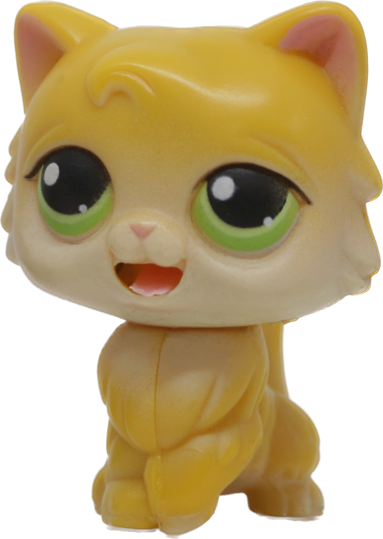 #MM1 Persian Cat