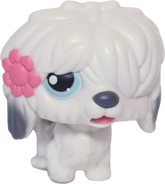 #MM2 Sheepdog