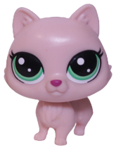 No # Bobtail Cat