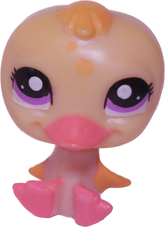 No # Duck