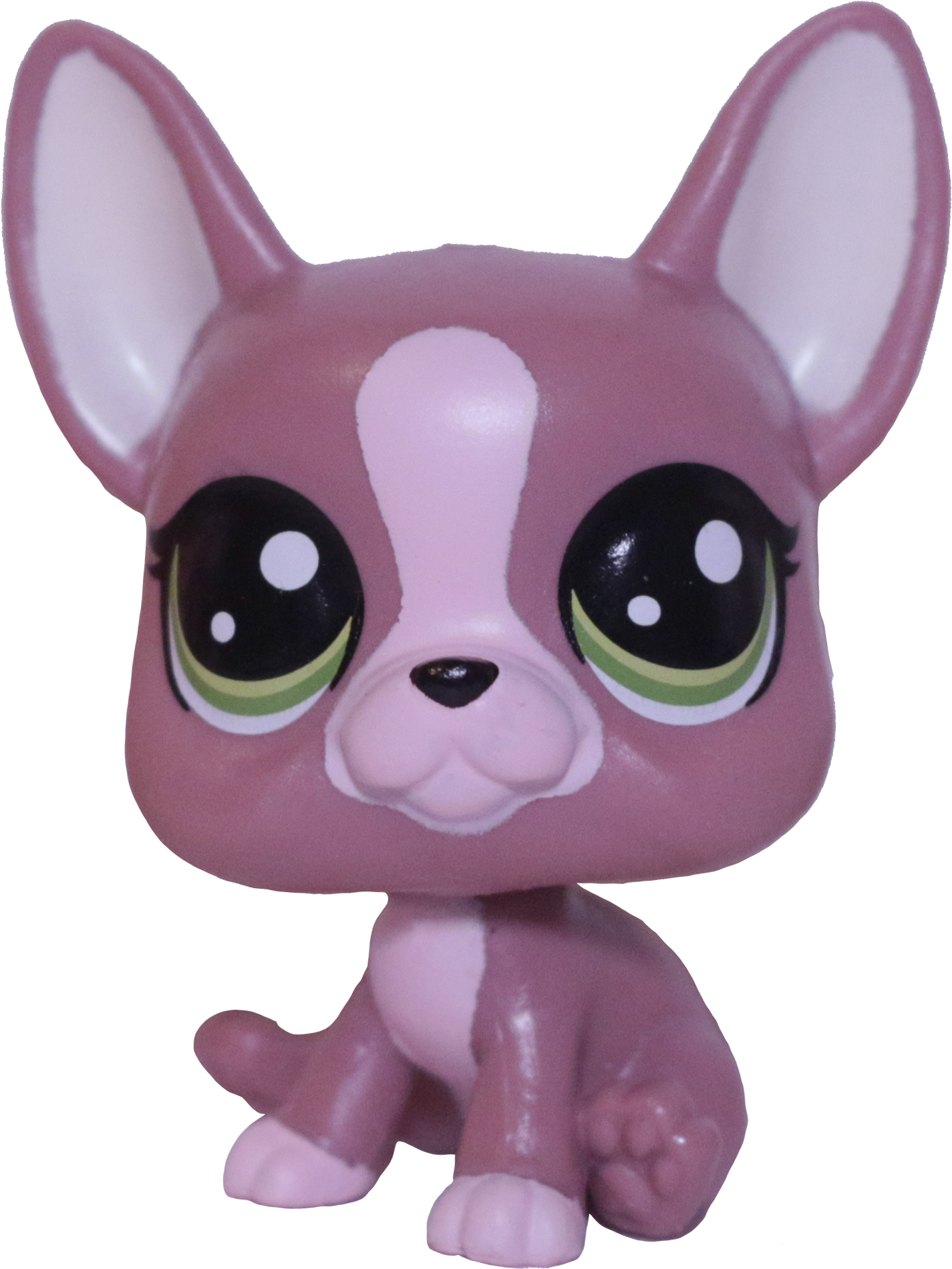 No # French Bulldog "Morning Dew"