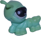 No # Inchworm