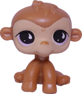 No # Monkey