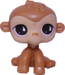 No # Monkey
