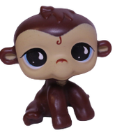 No # Monkey