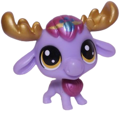 No # Moose "Cady"