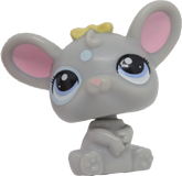 No # Rat