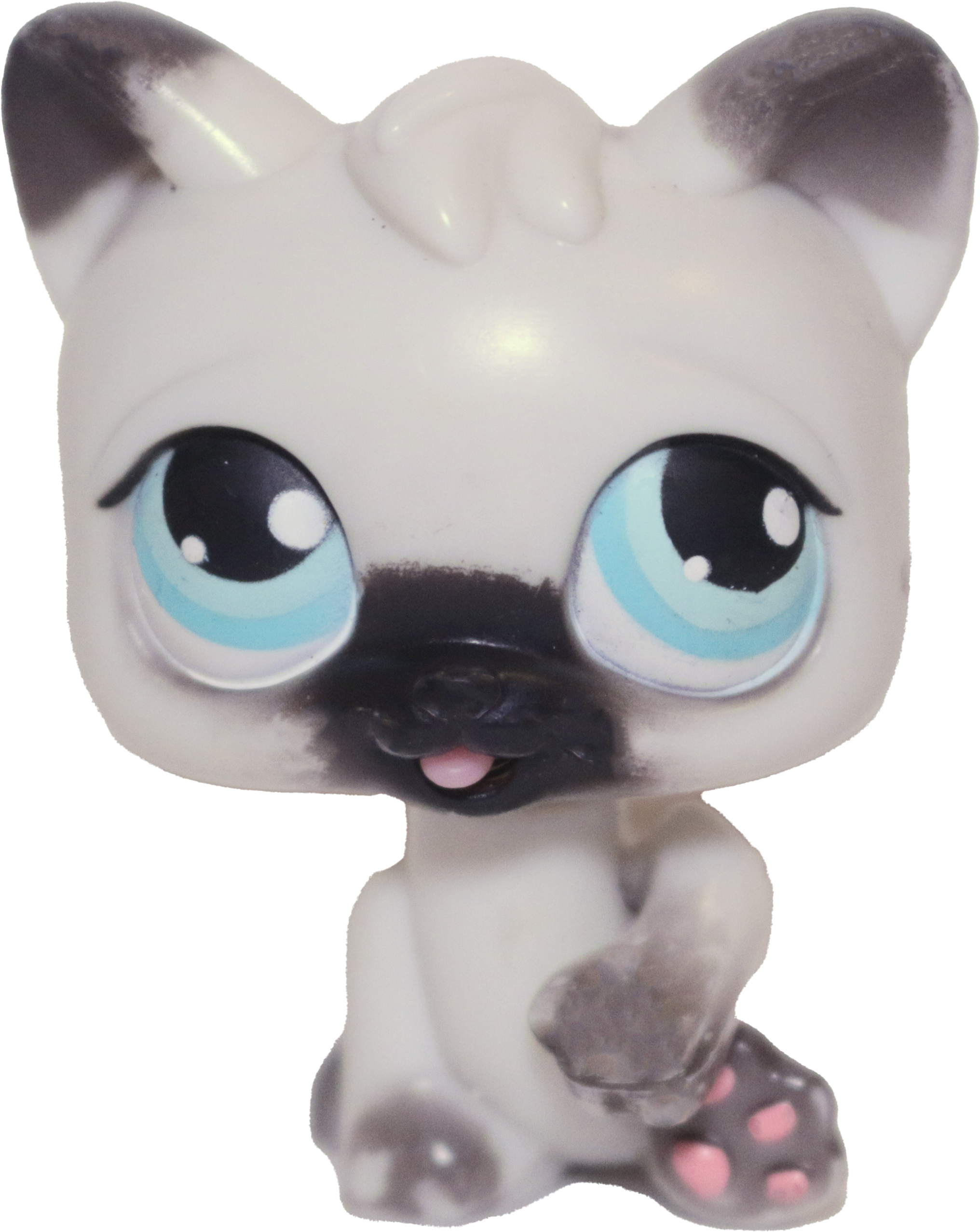 #PP1 Paw Up Cat
