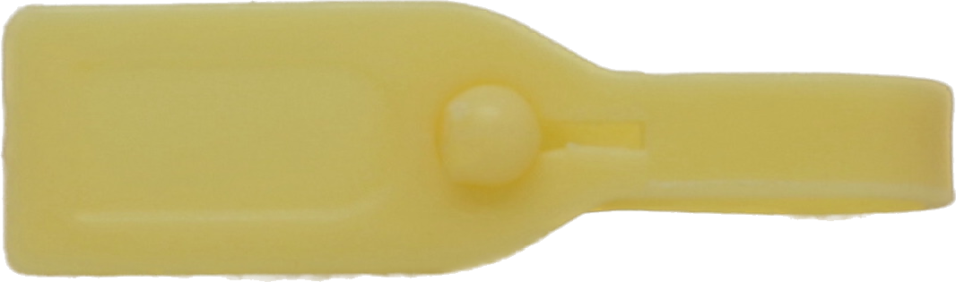 Travel Tag