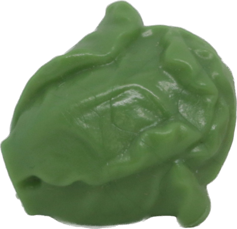 Mini Lettuce