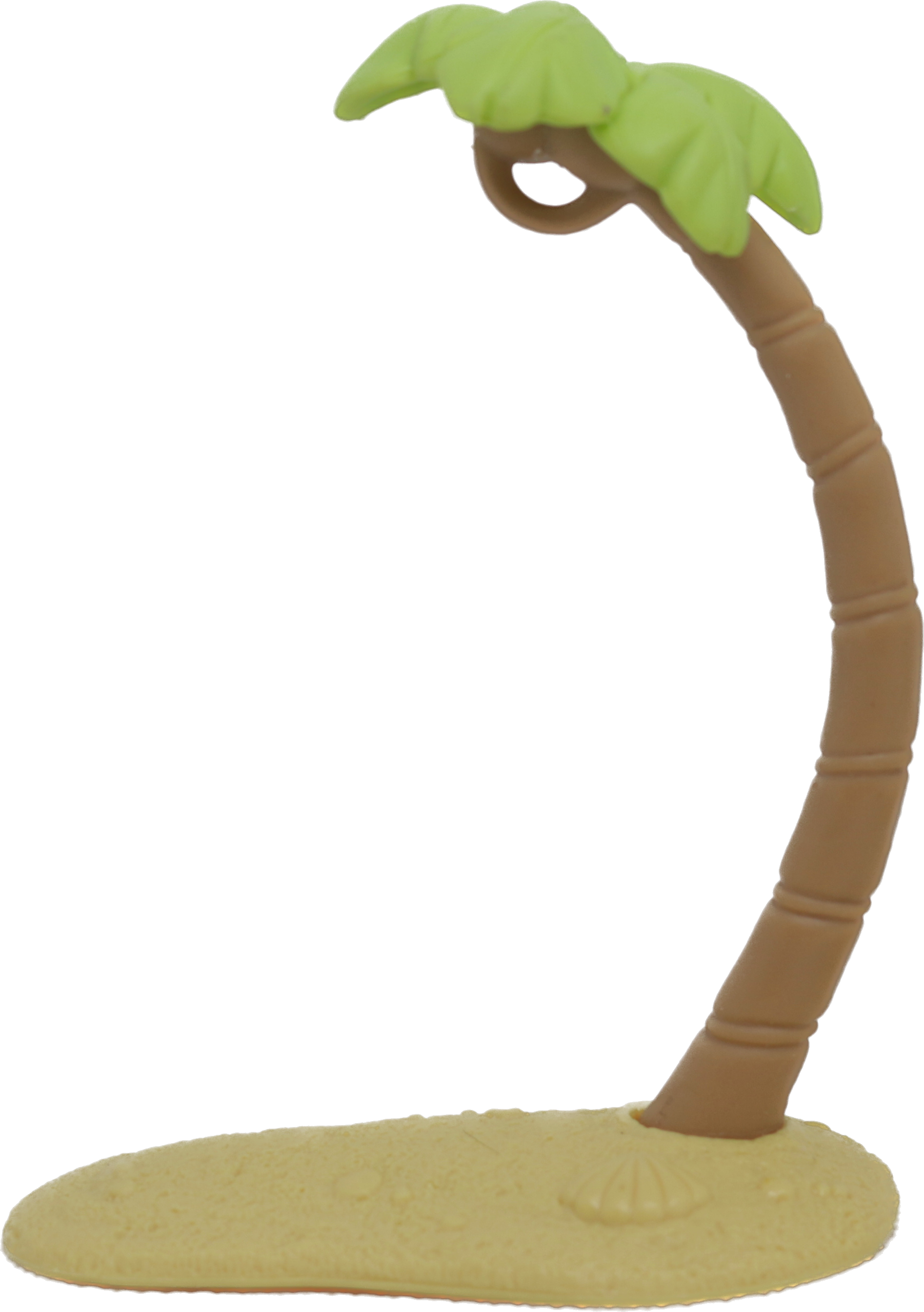 Palm Tree
