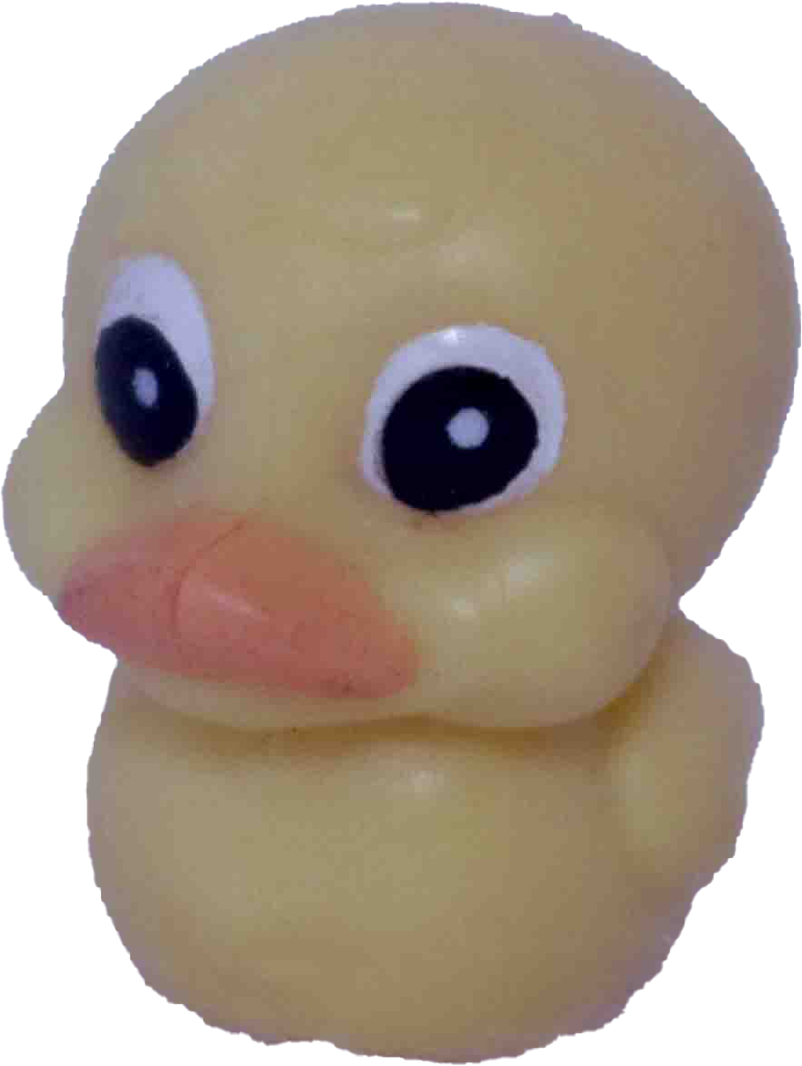 Rubber Ducky