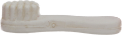 Tooth Brush