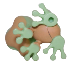 #1091 Frog