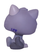 #1301 Kitten
