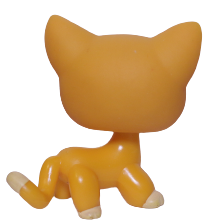 #0855 Shorthair Cat