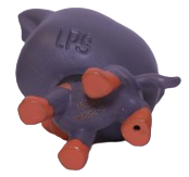 #4-153 Rottweiler