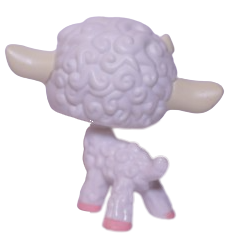 No # Sheep