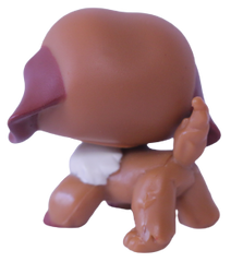 #0729 Saint Bernard