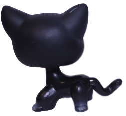 #0994 Shorthair Cat