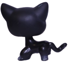 #0994 Shorthair Cat