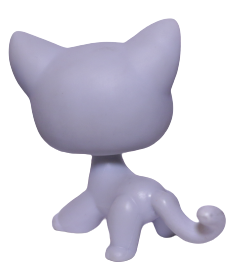 #0246 Shorthair Cat