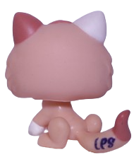 #1818 Kitten