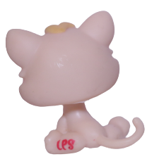 #1128 Kitten