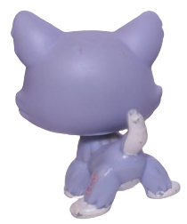 #1684 Husky