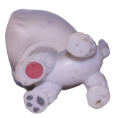 #0069 Husky