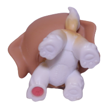 #0229 Saint Bernard