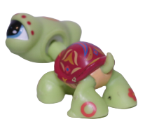 #1009 Turtle