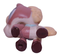 #1629 Horse