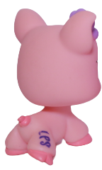 #1548 Pig