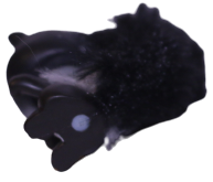 #0641 Skunk