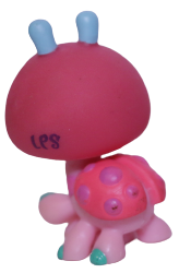 #1143 Ladybug