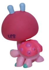 #1143 Ladybug