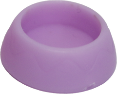 Empty Bowl