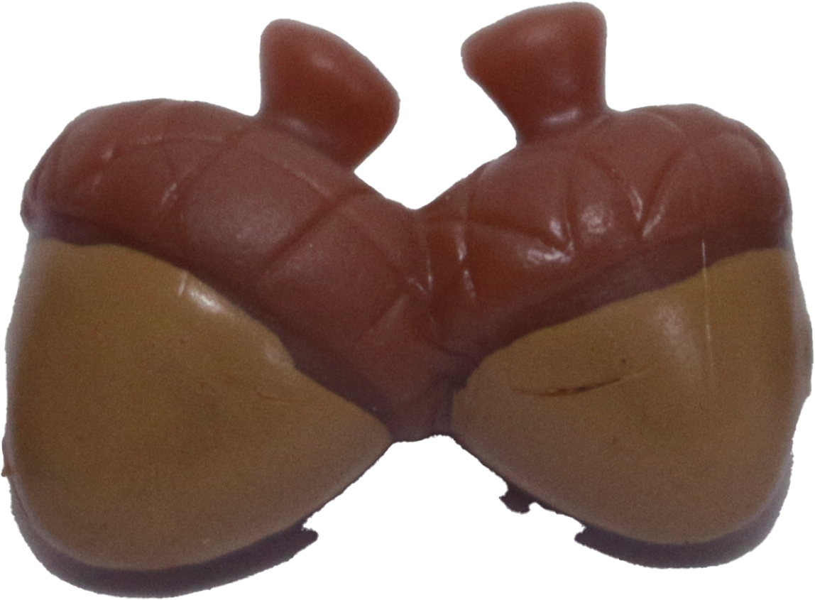 Acorns
