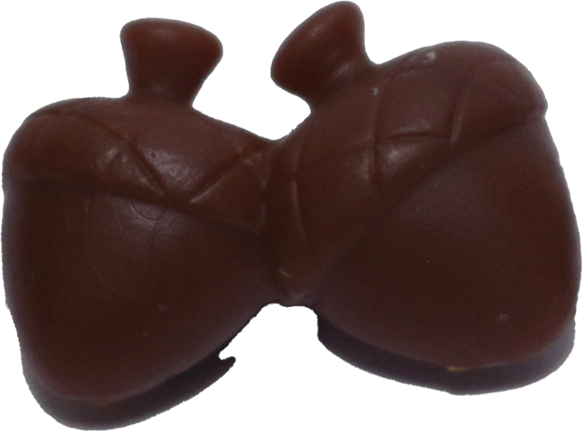 Acorns