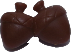 Acorns