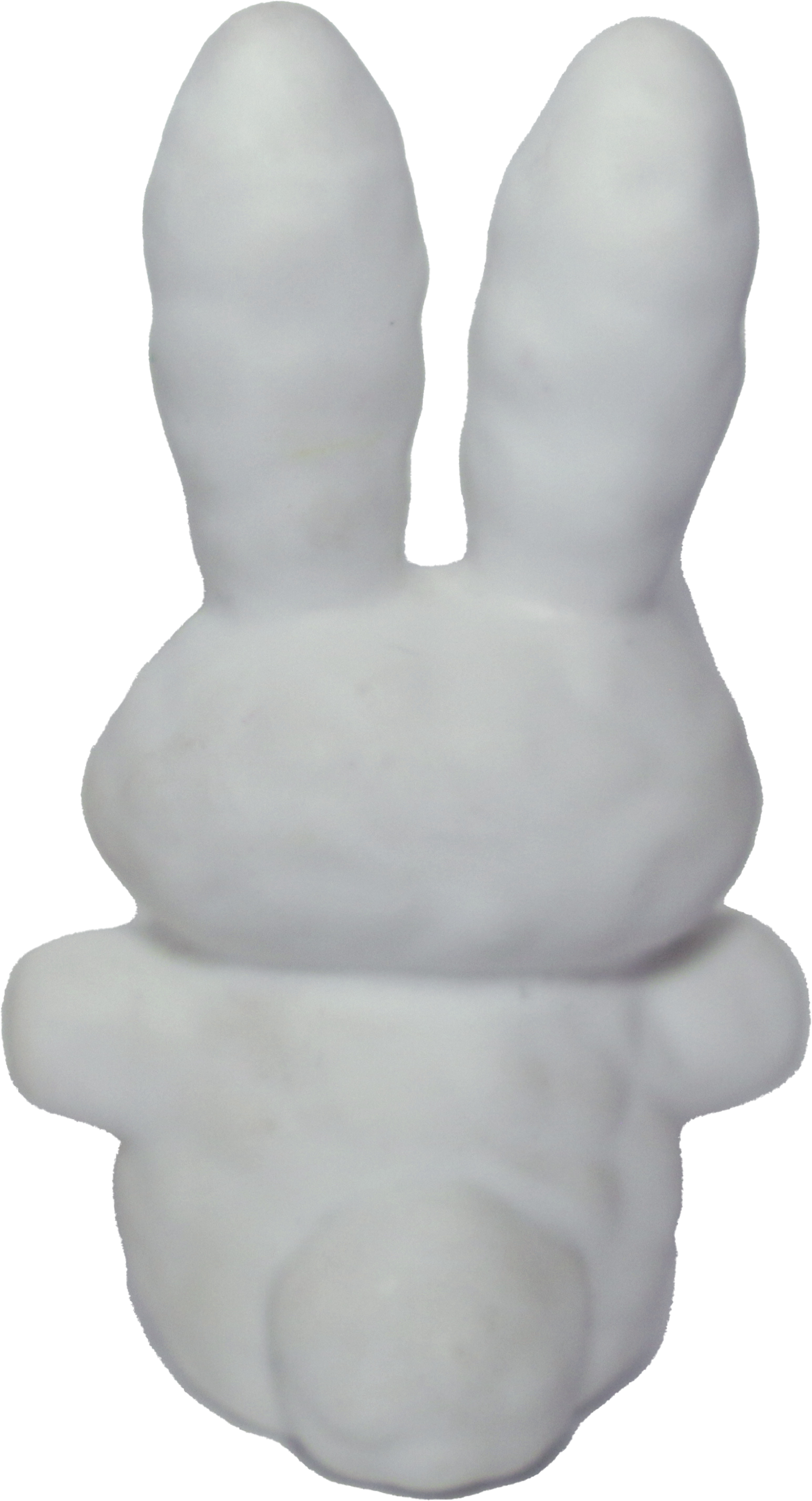 Snow Bunny