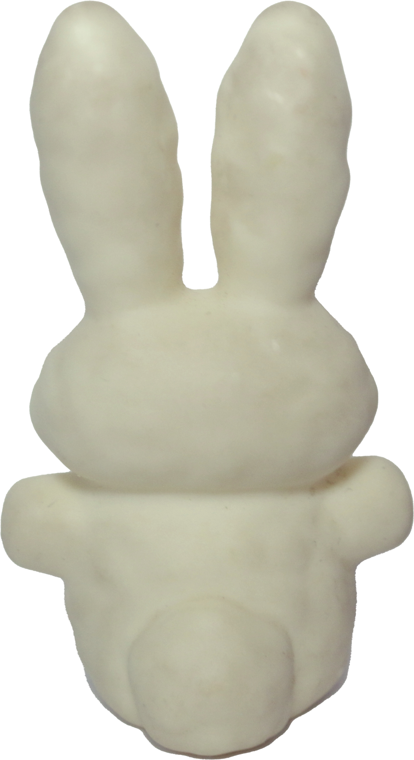 Snow Bunny